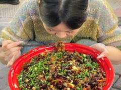 -聂发财重庆江湖菜(解放碑店)