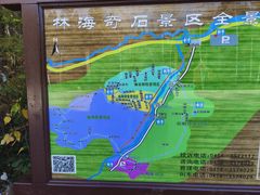 -汤旺河林海奇石景区