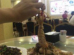 -顺峰渔港中国人的餐厅