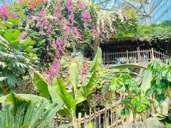 -祥源·阜阳生态乐园