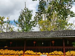 -腾冲国萍农家乐