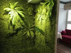 -小熊维尼高端儿童摄影(南山信和店)