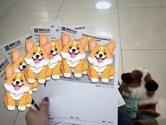 -美联众合动物医院·24h京西诊疗中心