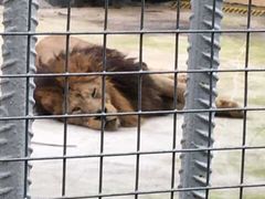 -三亚千古情景区游客中心-接待中心