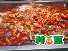 -探鱼·鲜青椒爽麻烤鱼(中天广场店)