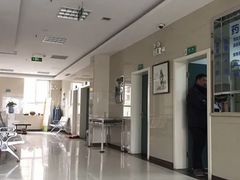 -康旭宠物医院(郑州总院)