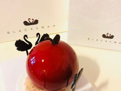 -BLACKSWAN黑天鹅(环球店)