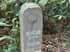 -梧桐山风景名胜区