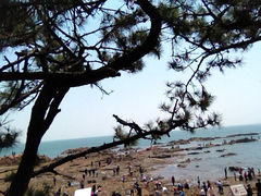 iphone_upload_pic-八大关景区