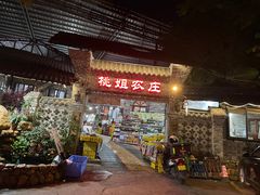 -桃姐农庄老字号(从化温泉店)