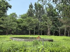 -秦皇岛野生动物园