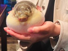 -永安鱼庄·镇江菜(东吴路店)