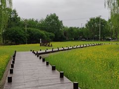 -北坞公园