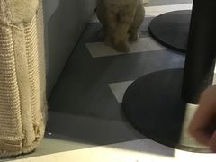 -小时光咖啡馆(开森度假森林店)
