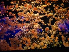 -珠海长隆海洋王国