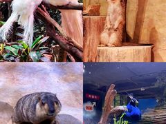 -正佳雨林生态植物园