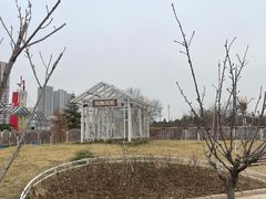 -太阳宫公园