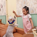 长沙萌宠集合店,一次性撸6种动物20个品种