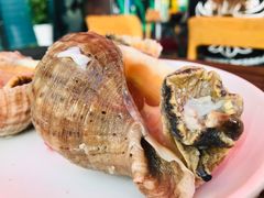 -阿尔法海鲜排档(爱琴海店)