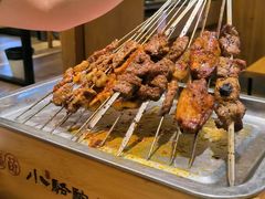 -福苗小骆驼烧烤(莲湖路店)