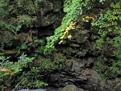 -藏龙百瀑风景区