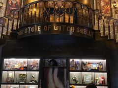 -雪灵魔法世界SHELLY’S TAROT(大良桂畔里店)
