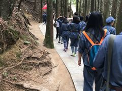 -井冈山风景名胜区-黄洋界