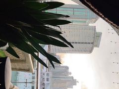-润园四季椰子鸡火锅(海上世界店)
