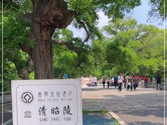 -北陵公园