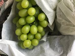 -马陆小张葡萄园农家乐