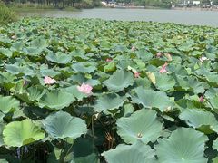 -时间仓(月湖公园店)