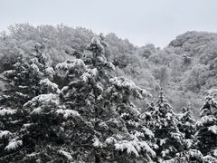 -秦岭终南山世界地质公园翠华山景区