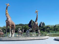 -北京野生动物园