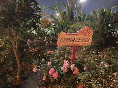 -广州白云国际机场-T2航站楼