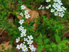 -苏州河梦清园环保主题公园