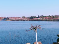 -上海海湾国家森林公园