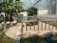 -宁波野生动物园
