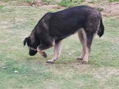 -钟山体育运动公园