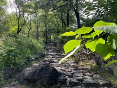 -阳台山自然风景区