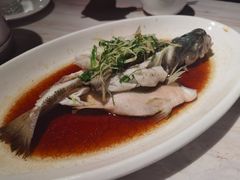 鲈鱼-老灶屋(金侨城店)