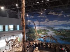 -自贡恐龙博物馆