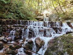 -青峰峡国家森林公园
