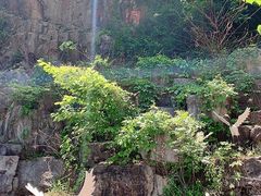 -陶祖圣境风景区