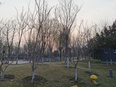 -东升文体公园