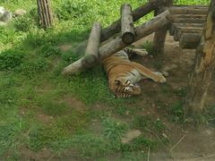 -西安秦岭野生动物园