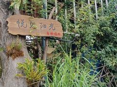 -悦见花开·花园里的火锅·露营·下午茶