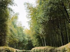 -天目湖涵田半山温泉