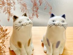 -猫里有甜