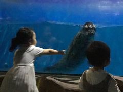 -常州海昌海洋探索馆