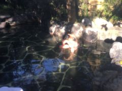 -昆明柏联SPA温泉